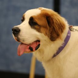 photograph by PeterW